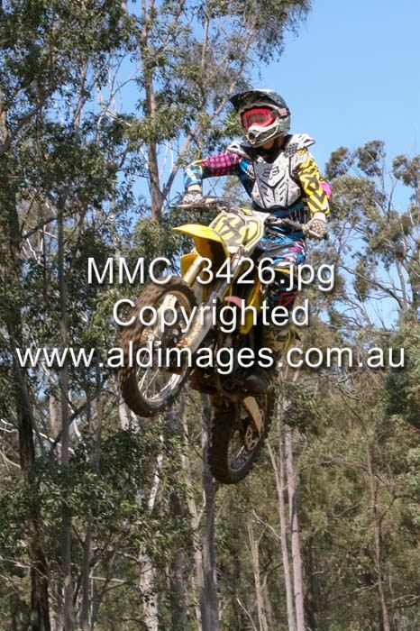 444x677 pixels (99K)